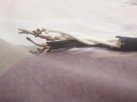 IMG_20201123_215316.jpg