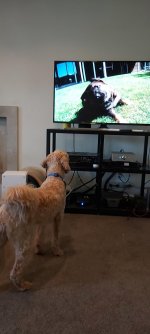 Juno plus subwoofer.jpg