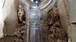 20201204_203224.jpg