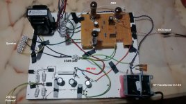 PP El84 Proto_Layout.jpg
