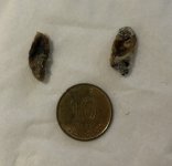 Earwax.jpg