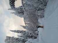 20210110_143726.jpg