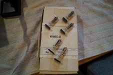 DSC08063.jpg