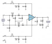 chip amp 1875-1.JPG
