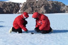 Antarctica Meteorite.jpg