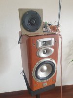 20210203_123619.jpg