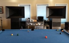 syn8 pair R.jpg