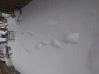 20210202_142414_resize_58.jpg
