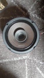 8 ohm driver front.jpg