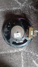 8 ohm driver back.jpg
