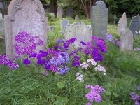 Graveyard St. Mary's Scilly.jpg