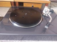 IMG_20201228_131044175.jpg