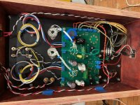 2021-1-3 Simple SE Flexi-Amp Guts.jpg