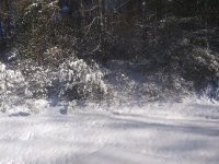20201226_112746_resize_83.jpg