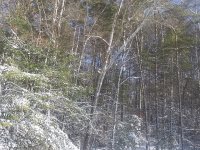 20201226_120138_resize_28.jpg