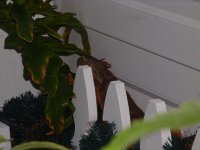 DSC07885_x.jpg
