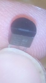 Image-9672.jpg