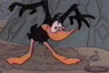 daffy.jpg