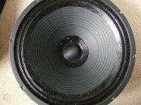 Doped Pleated Paper Surround.jpg