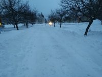 Snowy southern finland 13 jan 2021.jpg