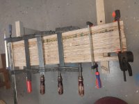 IMG_20210131_160613.jpg