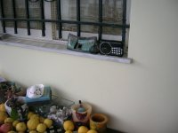 DSCN5659.JPG
