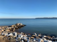 IMG_0039.jpg