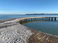 IMG_0043.jpg