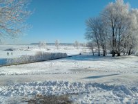 IMG_3618.jpg