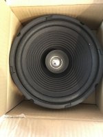 Altai Lux10 full-range driver front.jpg