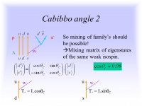 Cabbibo Angle & Cabbibo Matrix.jpg