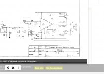 ps1000amp.jpg