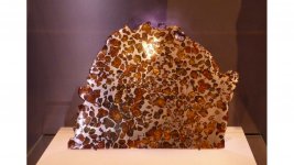 The Springwater Meteorite.jpg