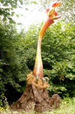 Triffid.jpg
