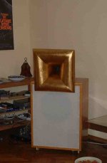 goldie2.jpg