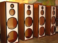 celestion 66 a.jpg