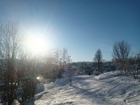 IMG_20210130_113300_431.jpg