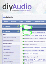 DIYA-2lists.gif