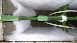 IMG_20210128_195607.jpg
