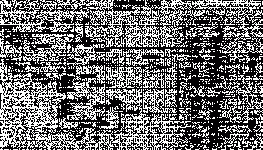 post-5543-100001622 1179594500.gif