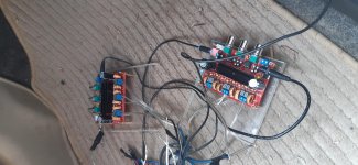 20210208_124119.jpg