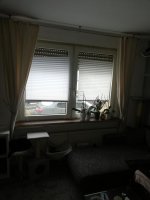 IMG_20210124_160716.jpg