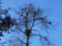 IMG_0027.jpg