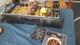 noctua.jpg