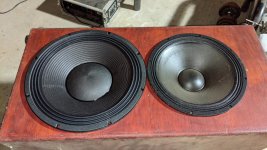 PXL_20210201_024942533.jpg