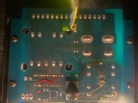 chiro psu 6.jpg