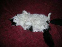 DSCN5716.JPG