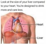 heart.jpg