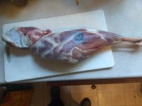IMG_20210313_163726470.jpg