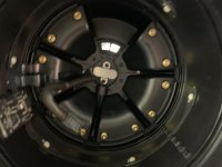 HP Tweeter Light.jpg